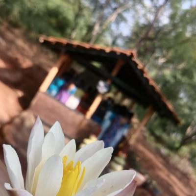 Whatsapp Image 2022 12 07 At 20.27.14